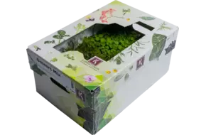 Dessert mix